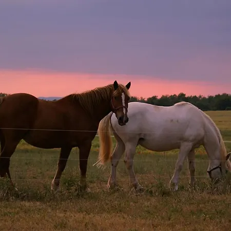 Frühstückspension Le Mas De La Cherine 4*